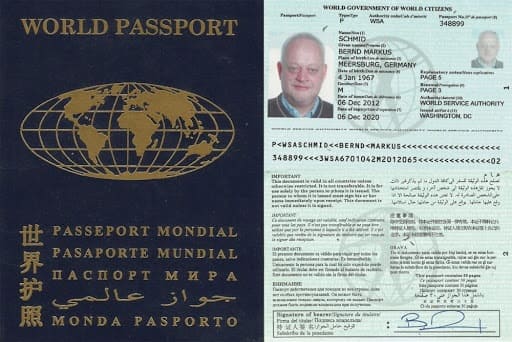 Образец паспорта гражданина мира