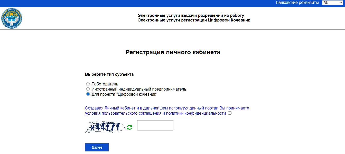 Скриншот сервиса приема заявлений на получение статуса цифрового кочевника в Киргизии